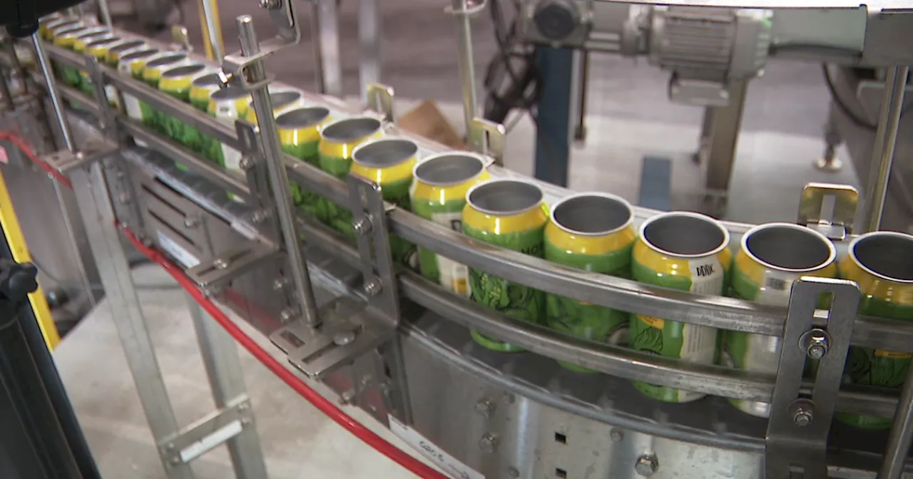 Colorado Craft Brewers Face Rising Costs from New Steel and Aluminum Tariffs