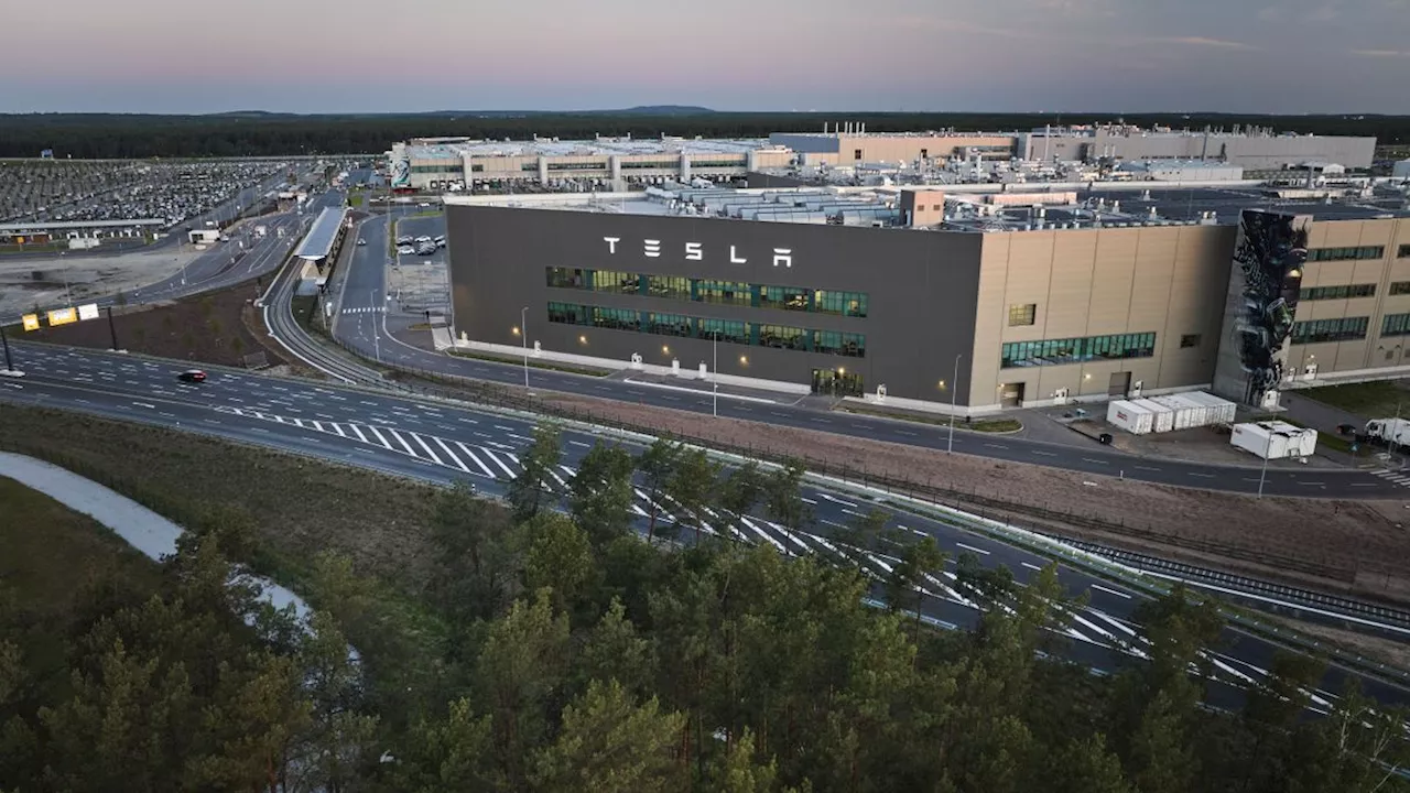 Protest gegen Tesla-Fabrik: Bekennerschreiben nach Brandanschlag auf Bahnstrecke