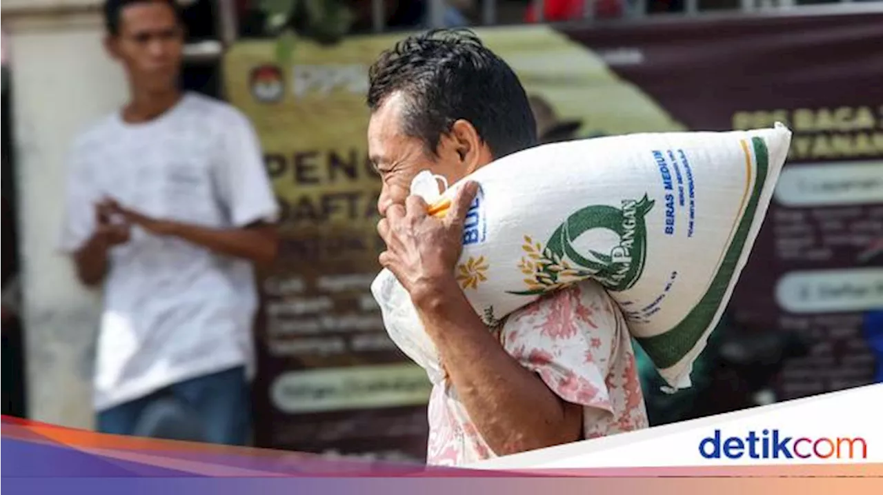 Bantuan Pangan Beras dan SPHP Diluncurkan Setelah Bulog Serap 1,5 Juta Ton Gabah Petani