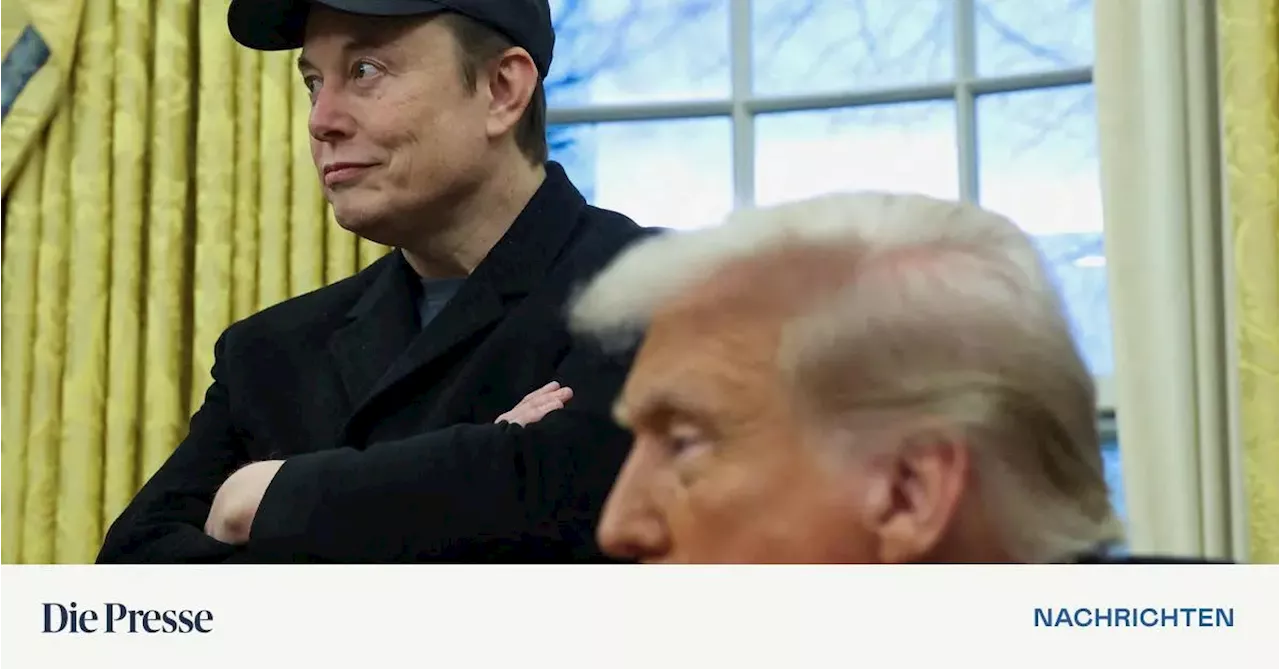 Musk stellt OpenAI-Übernahme in Frage - Grok 3 steht kurz vor der Veröffentlichung
