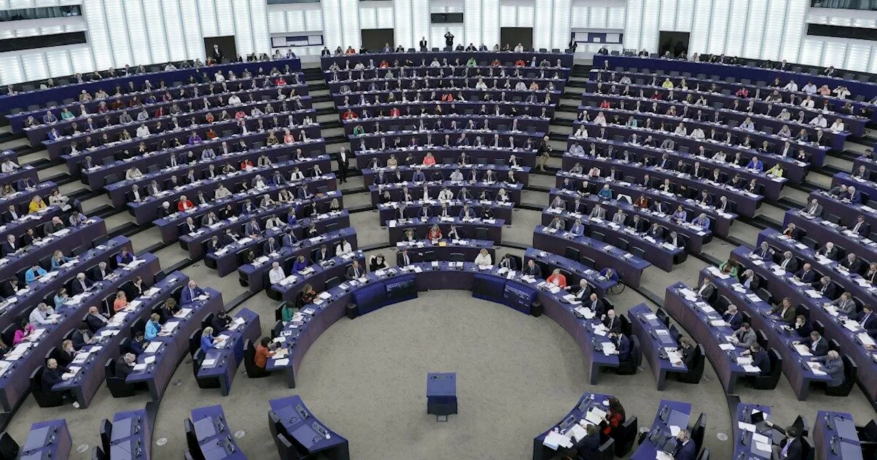 Parlamento Europeo Rifiuta di Riconoscere il Governo Georgiano