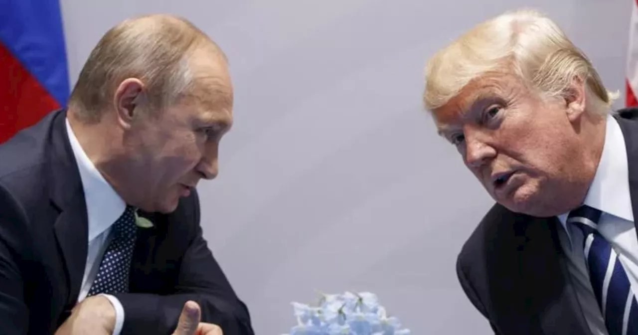 Experten nach Trumps Vorstoß bei Putin: Zuversicht für Russland, Nato im Dilemma