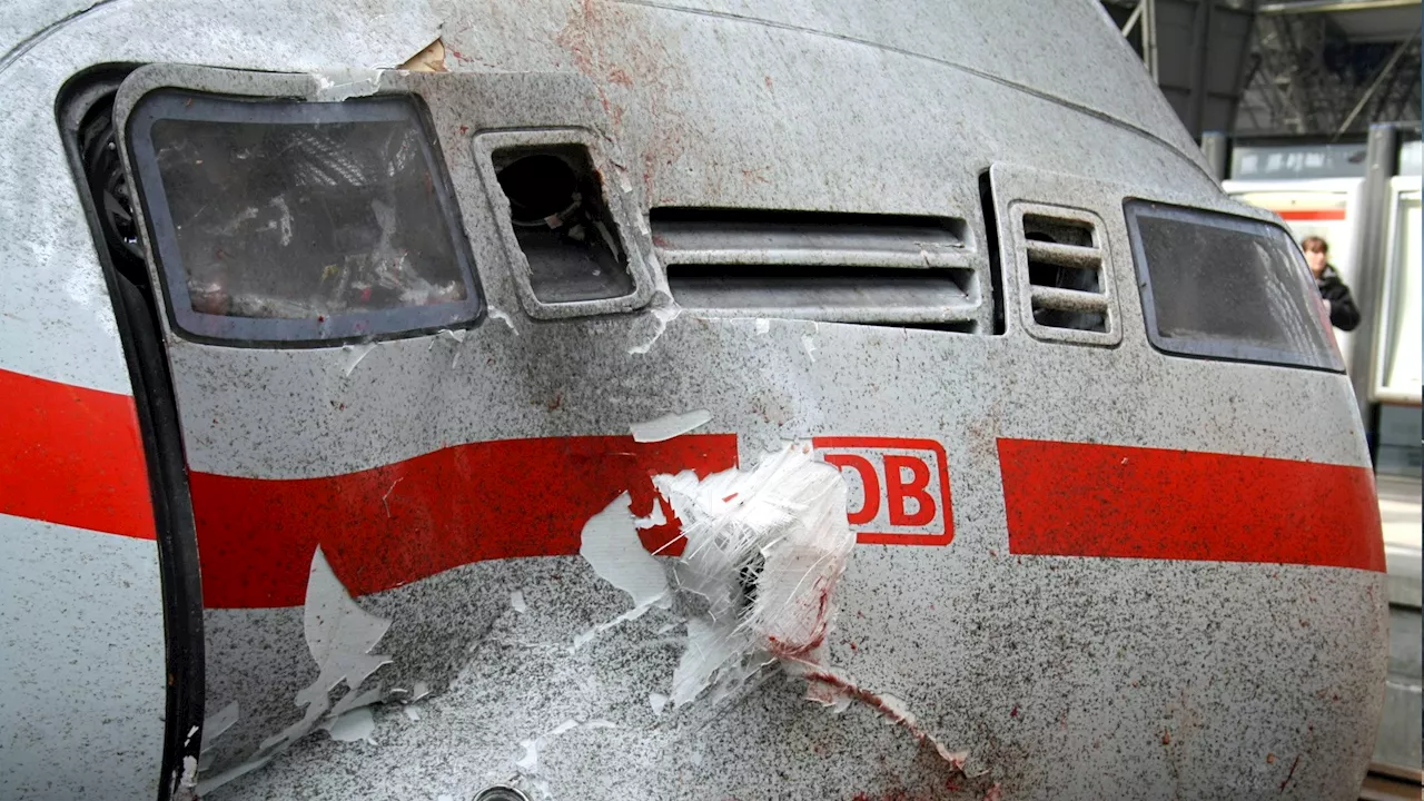 Zugausfälle bei der Deutschen Bahn: Immer häufiger, aber immer noch keine Katastrophe