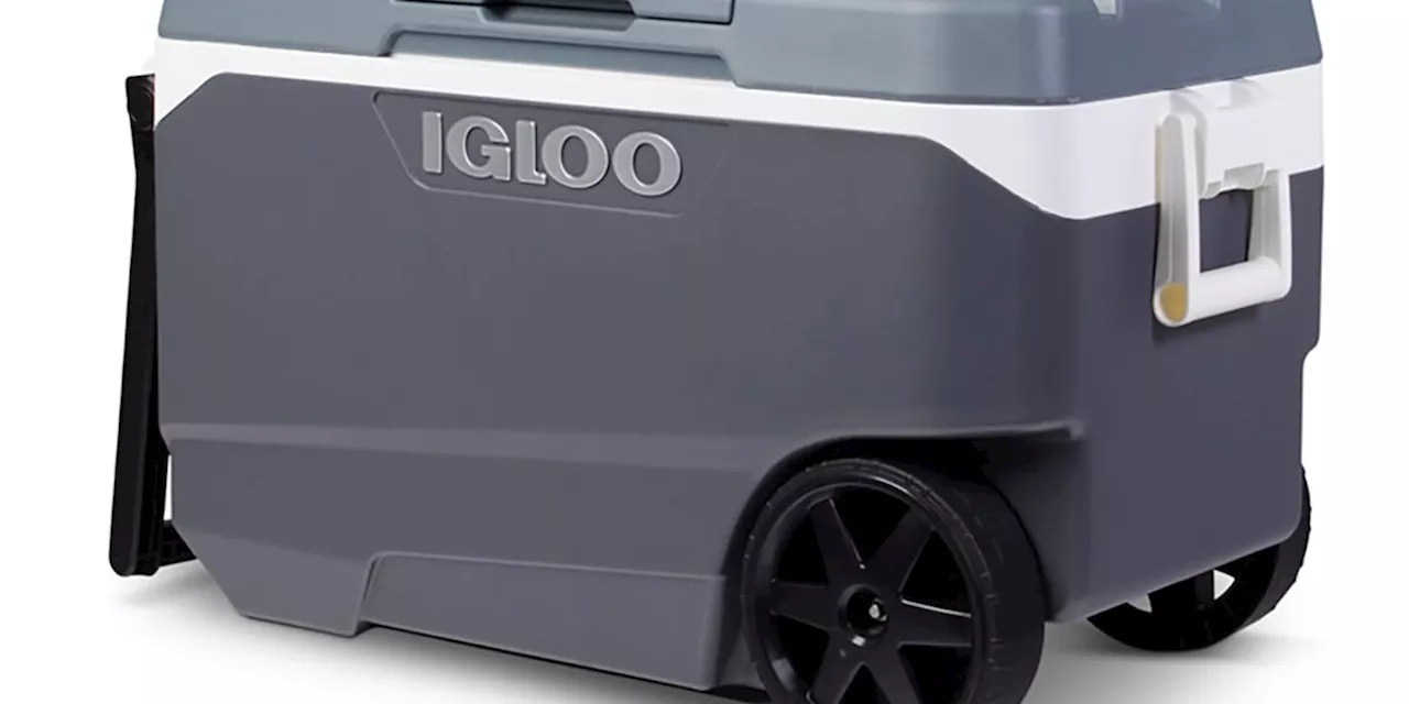 Igloo recalls over a million coolers after handle hazard causes fingertip amputation injuries