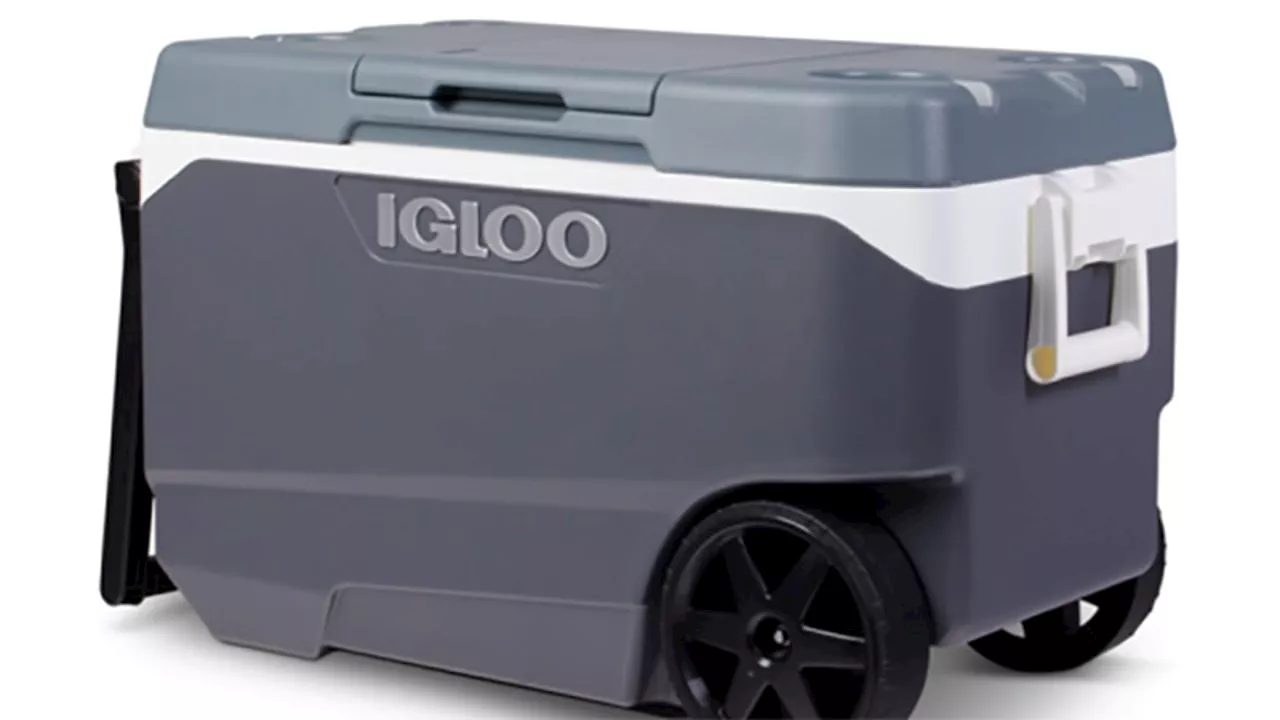 Igloo coolers recalled: Handle can cause fingertip amputations