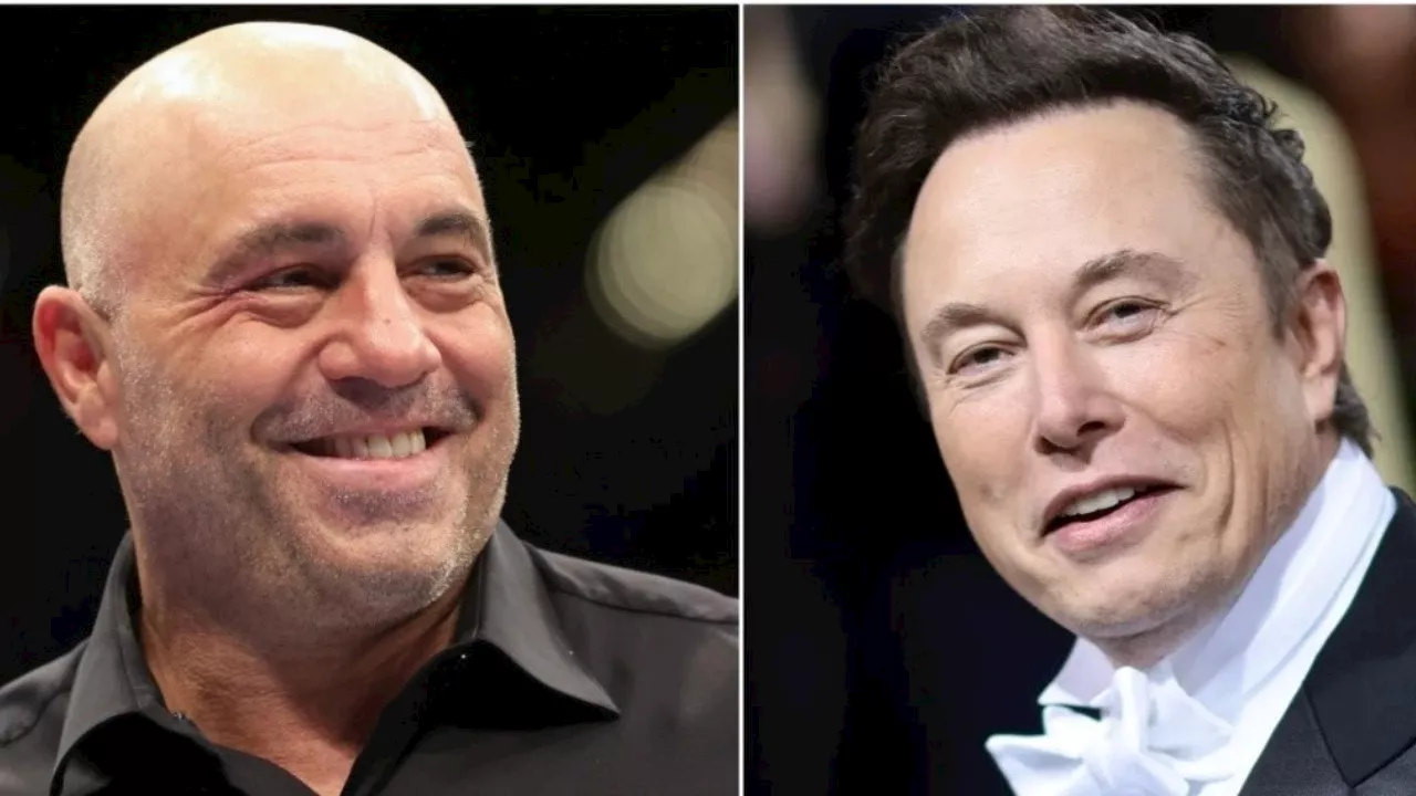 Joe Rogan: Elon Musk Will 'Hunt Down' Corrupt Government Bureaucrats