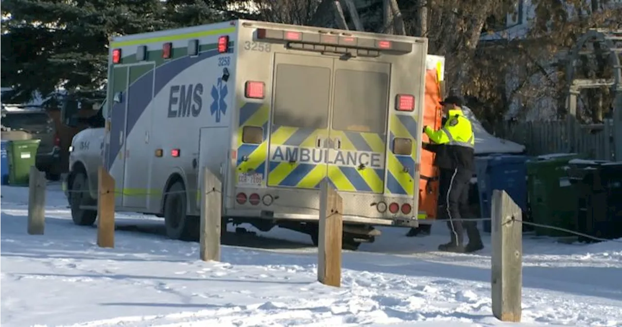 Calgary Police Service Dog Bites Child During Stolen Vehicle Investigation