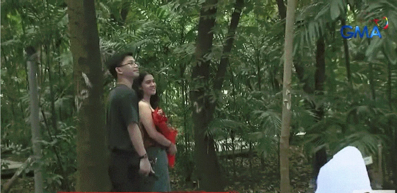 Couples visit Manila park to celebrate early Valentine’s Day