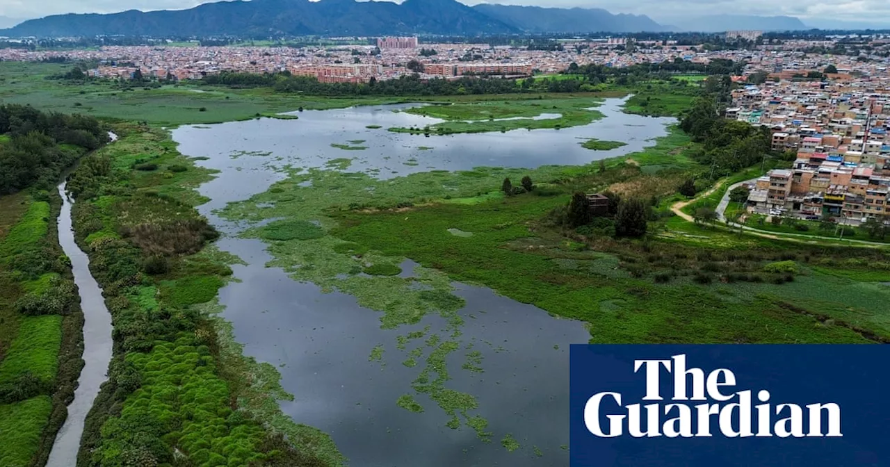 Bogotá's Wetlands: Sacred Sites Threatened by Urban Expansion and Climate Change