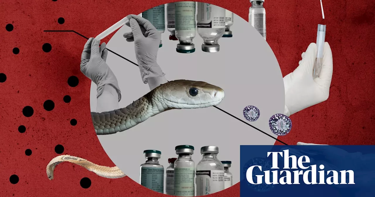 Deadly Deception: Ineffective Antivenom Sold Across Africa