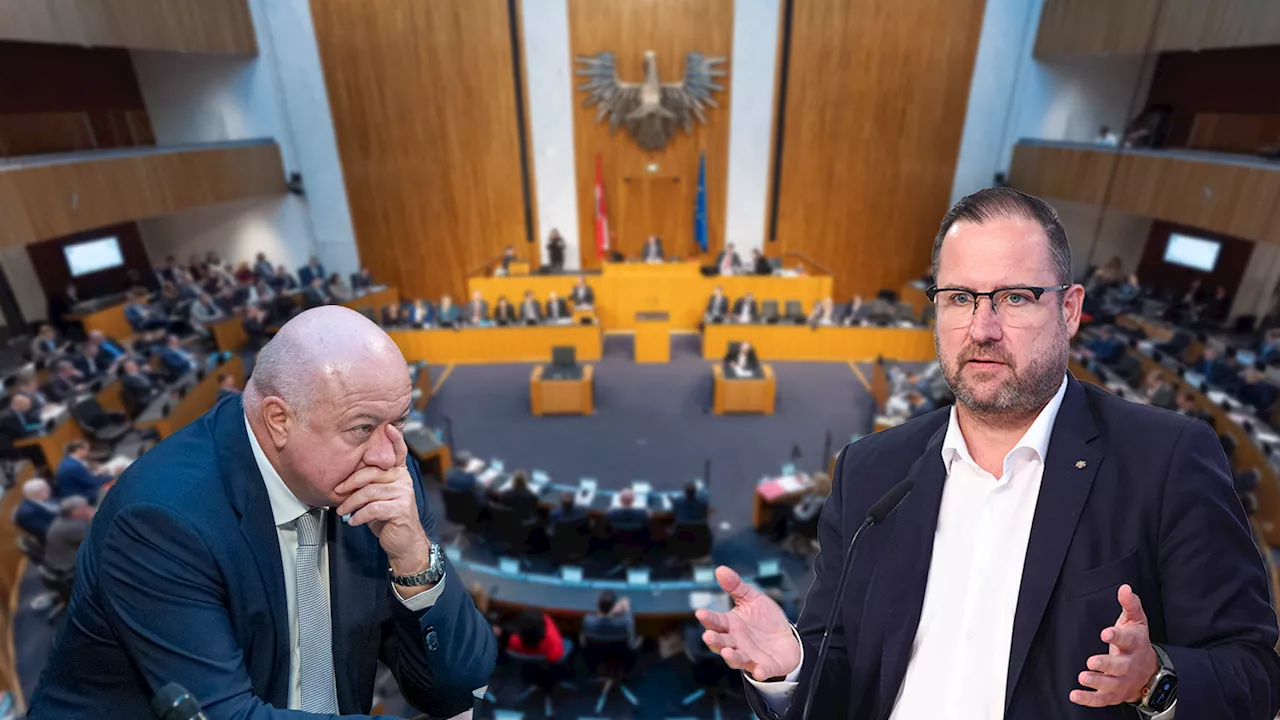  FPÖ-General vermutet 'Einmischung' ausländischer Macht