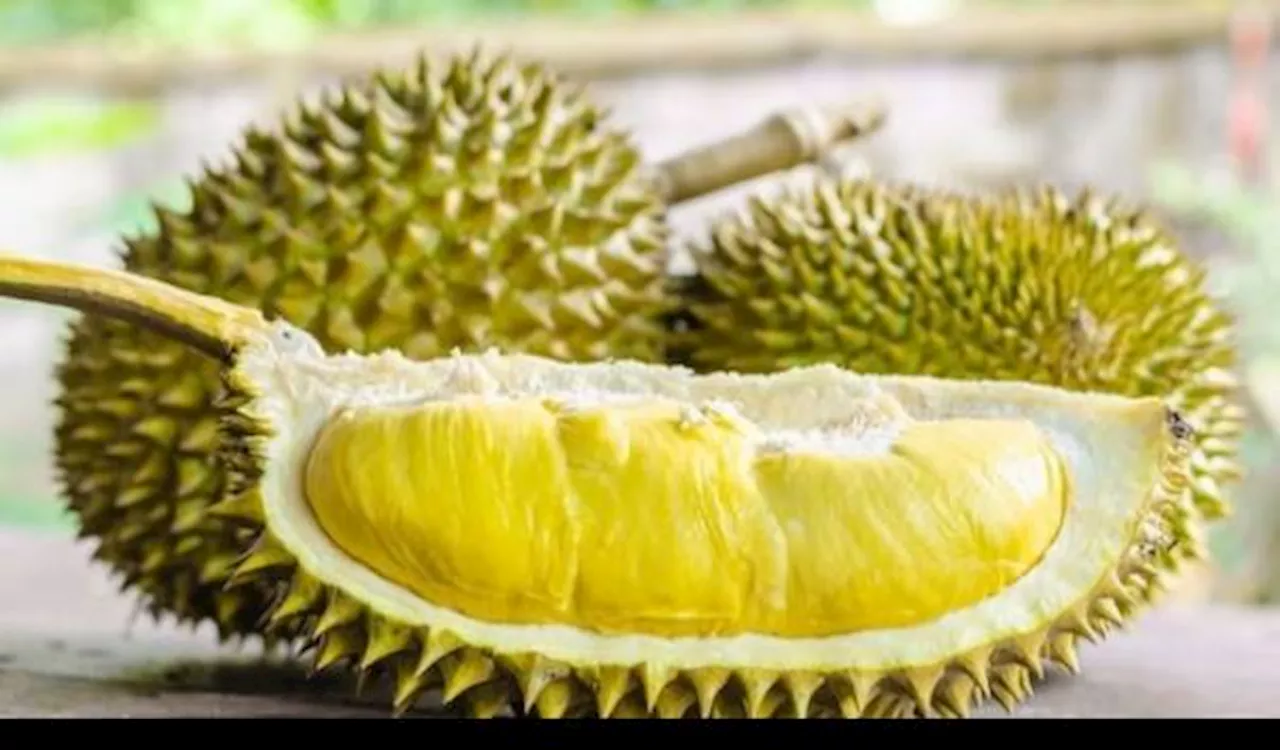 Manfaat Buah Durian untuk Kesehatan, Salah Satunya Baik untuk Pencernaan