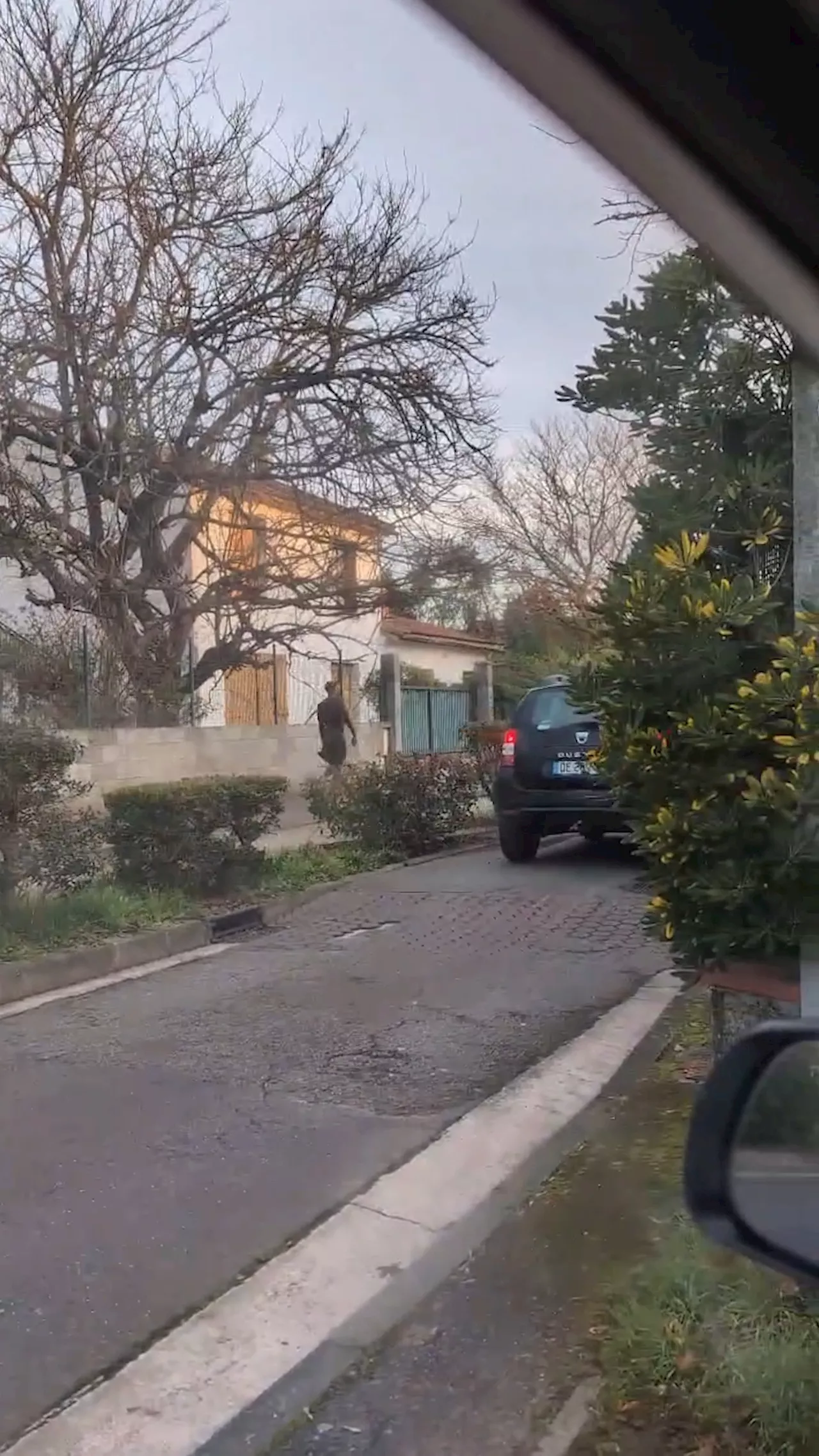 VIDEO. Stupéfaction à Toulouse : un homme court entièrement nu, puis emprunte le métro dans le plus simple app