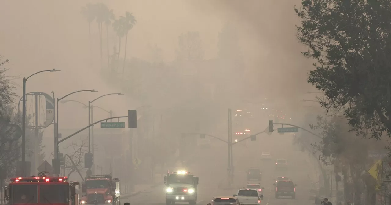 LA Wildfire Study Aims to Uncover Long-Term Health Impacts of Urban Blazes