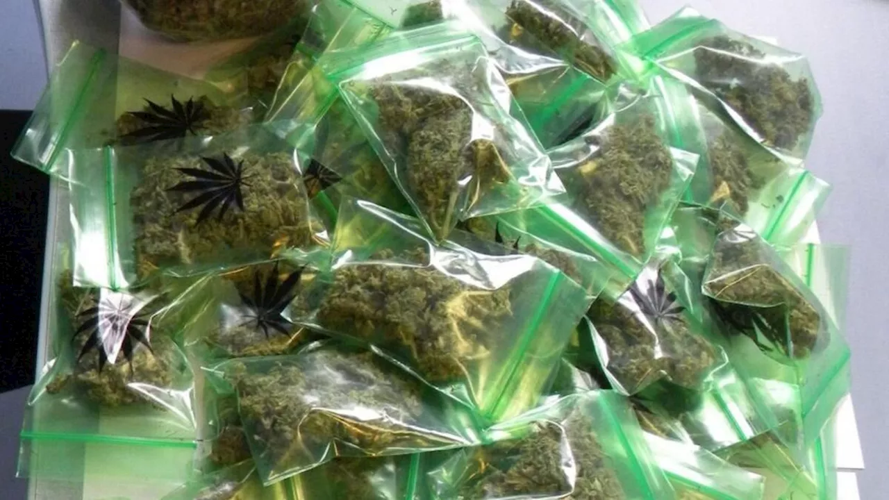 Fin de parcours pour les importateurs de cannabis : 556 kg saisis dans les Yvelines