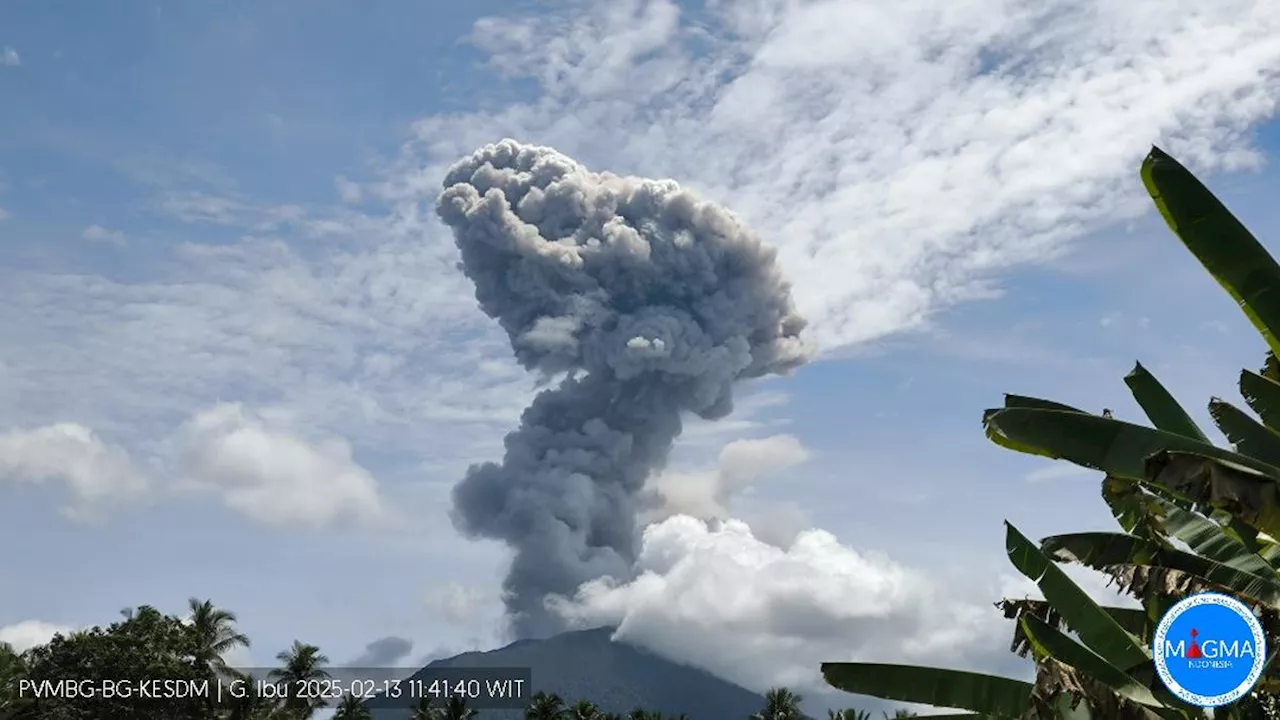 Gunung Ibu Erupsi Kembali, Masyarakat Dilarang Beraktivitas di Radius 4 Km