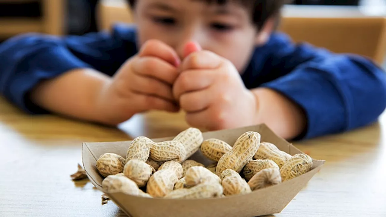 Supermarket Peanut Butter Therapy Shows Promise in Desensitizing Children with Peanut Allergies