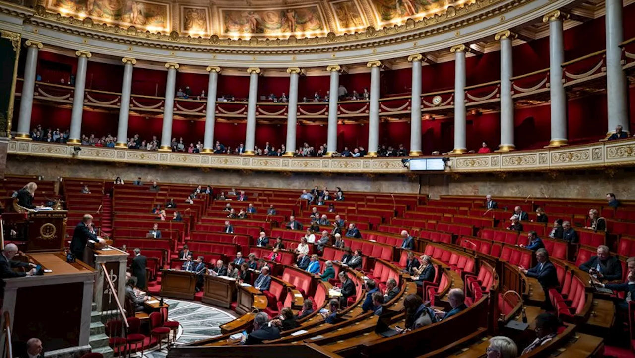 Caméras-piétons, palpations… ce que contient le texte adopté ce mercredi par les députés pour renforcer la séc