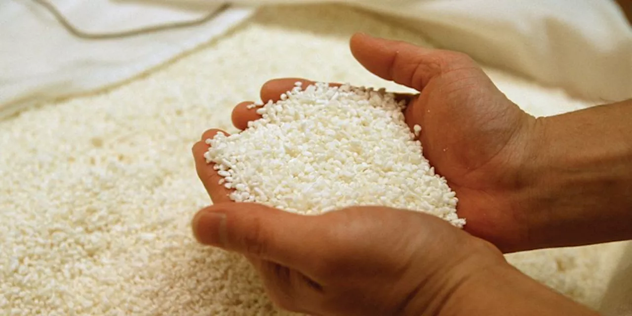 Enjoy Rice Without Blood Sugar Spikes: A Simple Cooking Trick