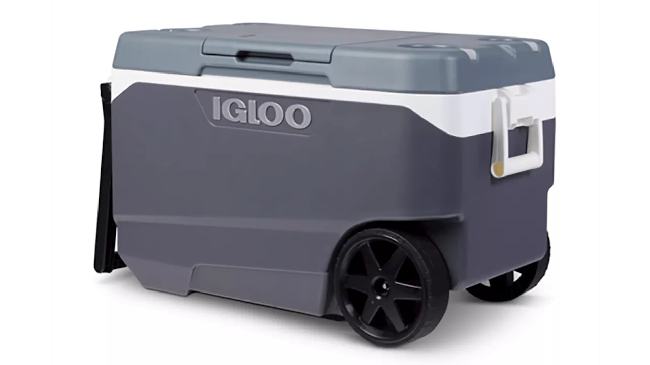 Igloo Coolers Recalled Over Fingertip Amputation Risk