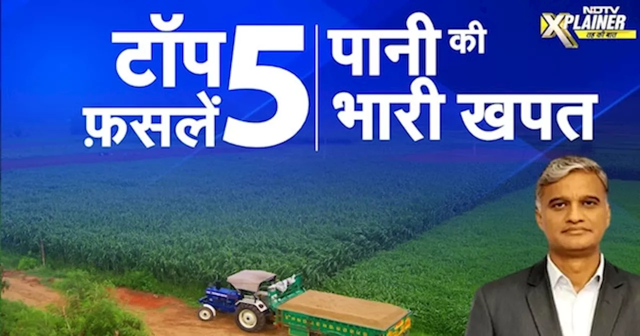 Ground Water: Paddy, Cotton, Sugarcane, Soyabean, Wheat में लगता है सबसे ज़्यादा पानी |NDTV Xplainer