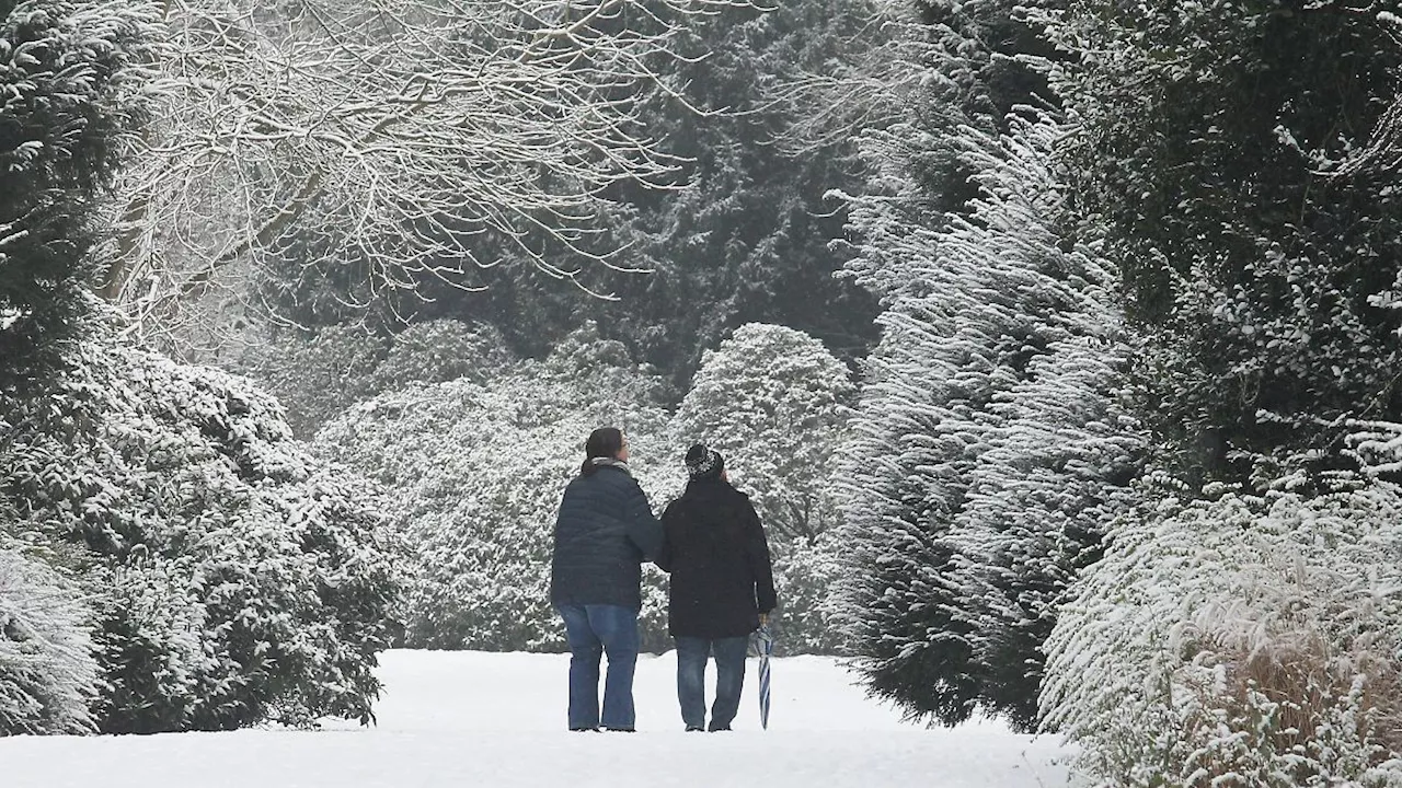 Schnee im Februar: So kalt wird es in Deutschland