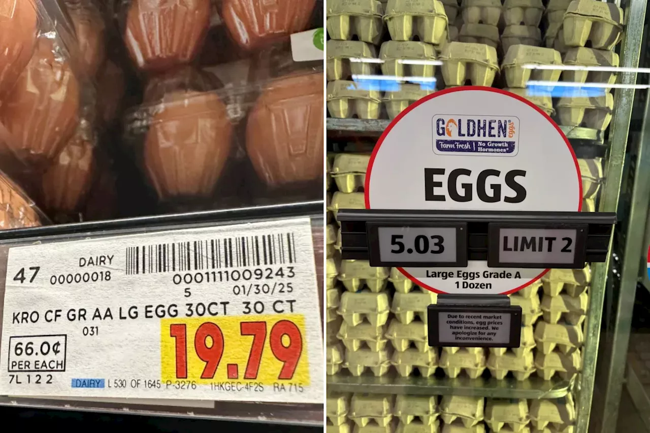 Egg Industry Accused of Price Collusion Amidst Avian Flu Crisis