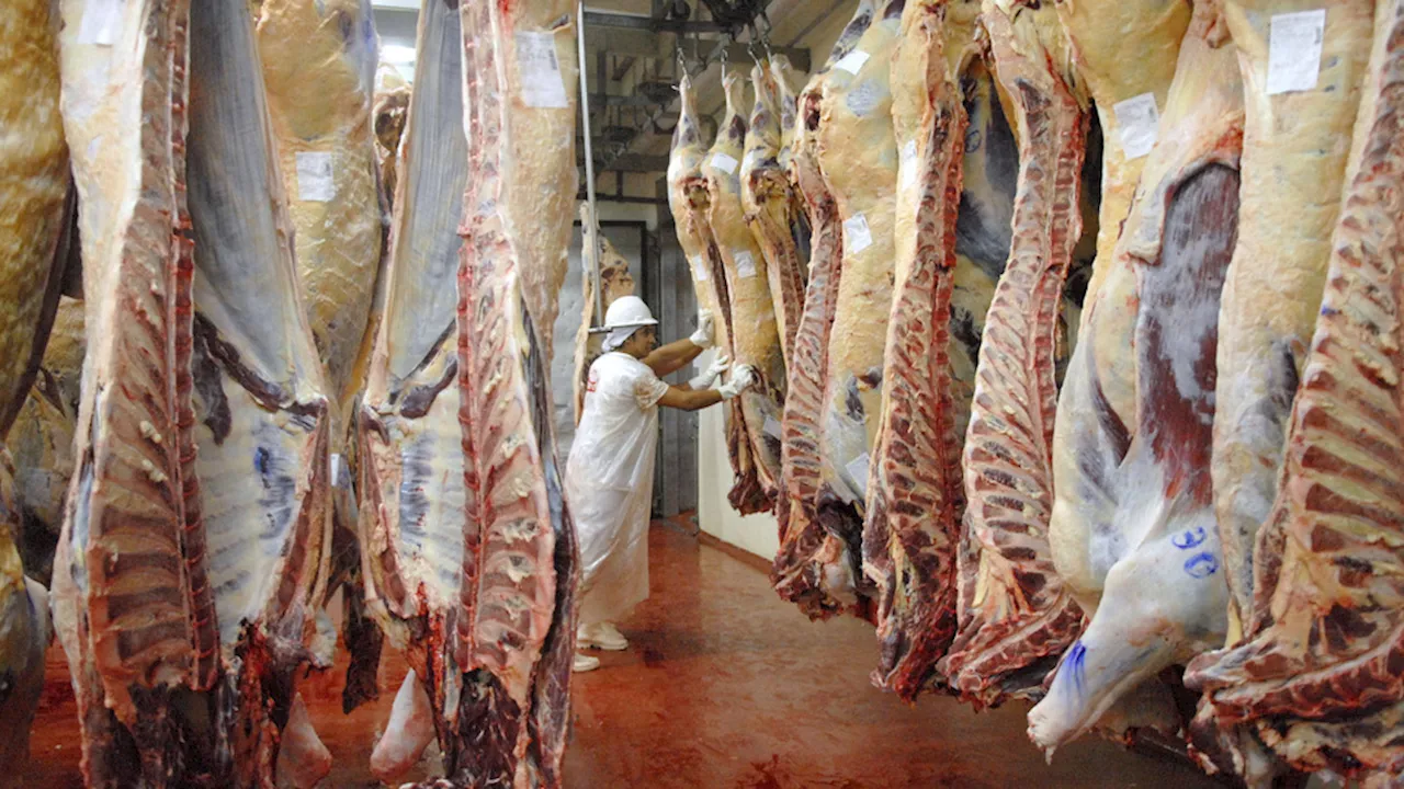 La producción de carne en Argentina enfrenta desafíos