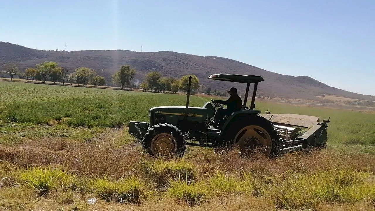 Campo de Salamanca agoniza por inseguridad en zona rural; mano de obra escasea