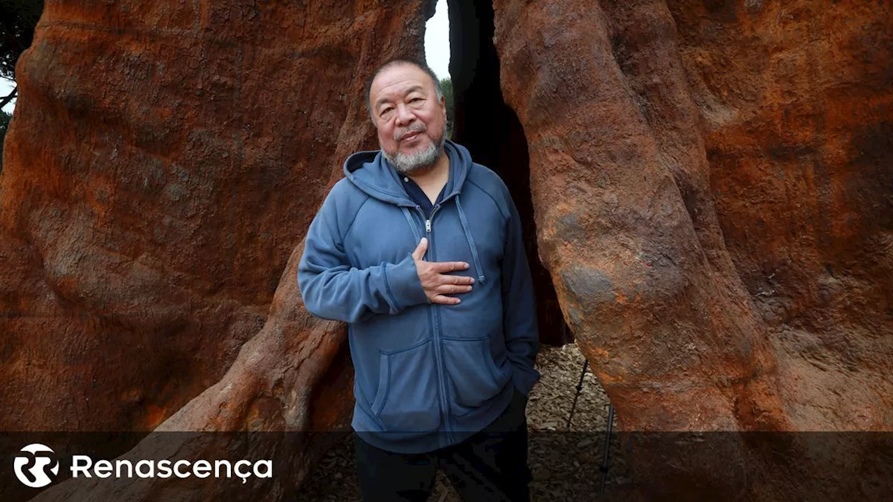 Artista Chinês Ai Weiwei É Detido na Suíça por Falta de Visto