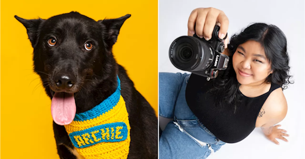 Meet The Malaysian Pet Photographer Who's Giving Rescue Animals A Shot At A Better Life