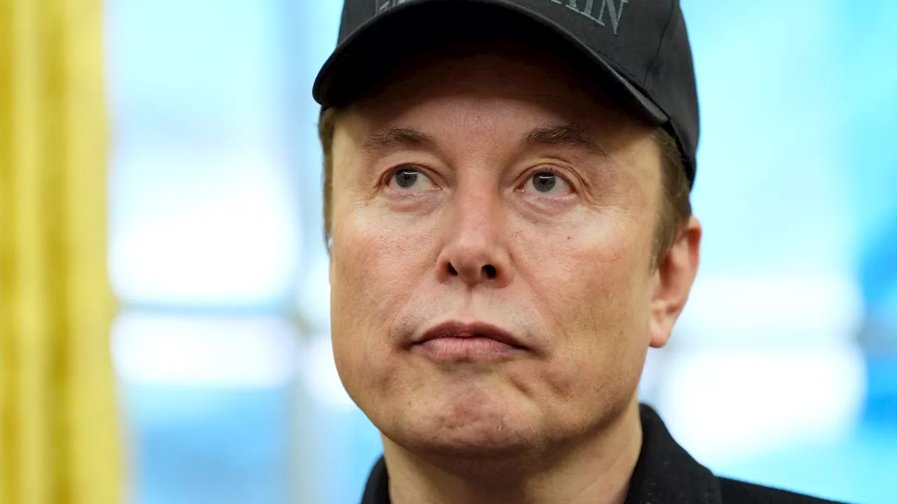 El Odio en X: Un Estudio Demuestra el Aumento del Discurso Hostil Después de la Compra de Elon Musk