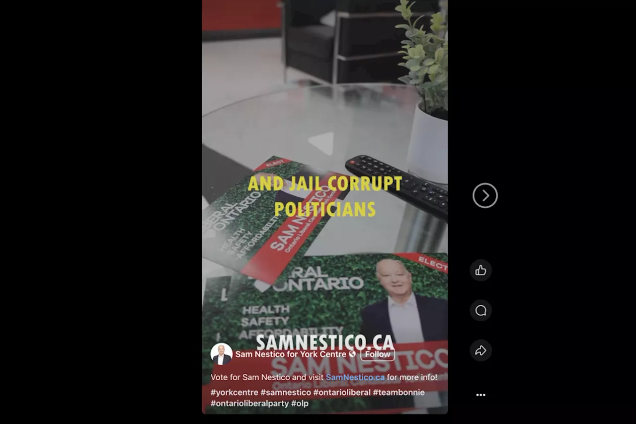 Liberal Candidate Promises to 'Jail Corrupt Politicians' in Greenbelt Video