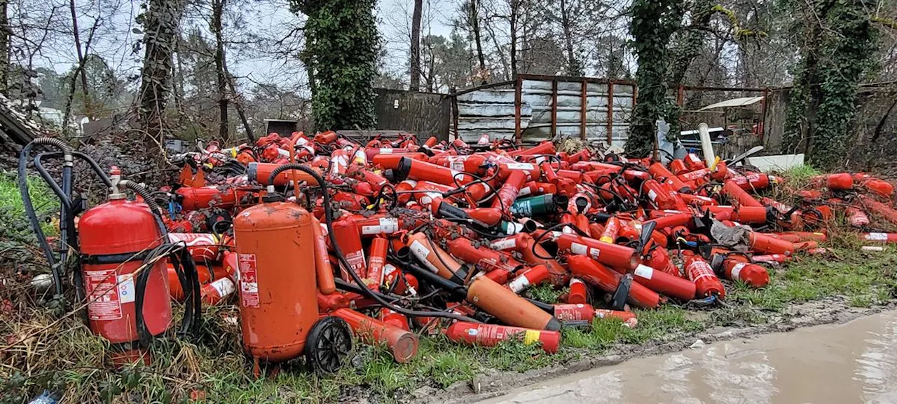 Gironde : le chemin Palus, un havre de paix pour les déchets près de Bordeaux