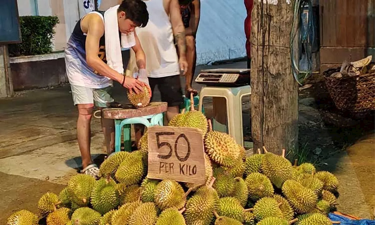 Durian research tie-up with New Zealand postponed