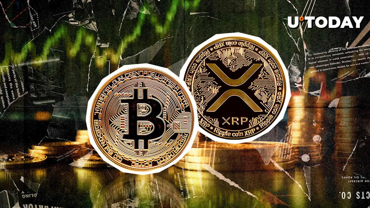 XRP Gains Ground Against Bitcoin, Signaling Market Shift