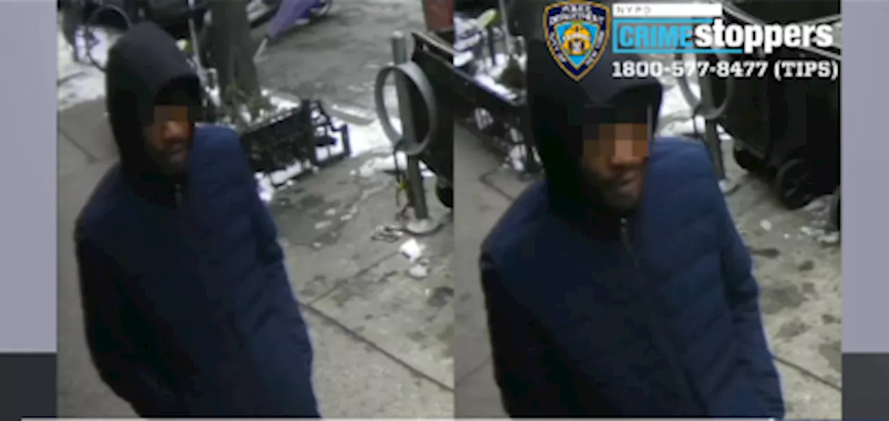 Asalto a Mujer en Brooklyn Heights: Imitador de ICE Intenta Abuso Sexual