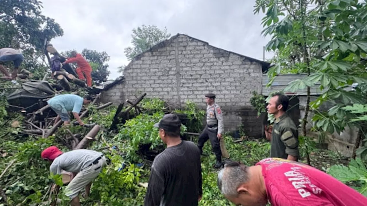 Cuaca Ekstrem di Bali Akibatkan Pohon Tumbang Timpa Rumah, 1 Orang Tewas