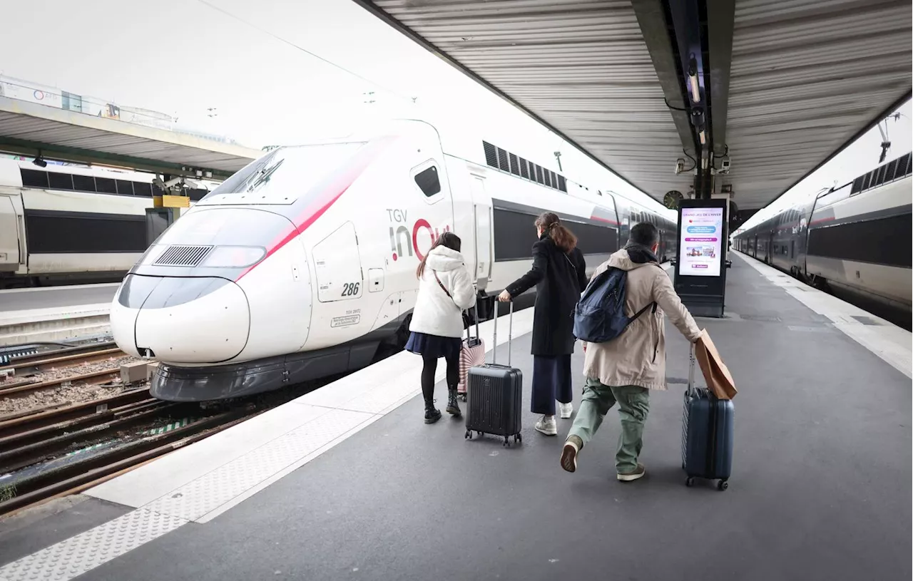 Transport des contrebasses autorisé sur les TGV Inoui