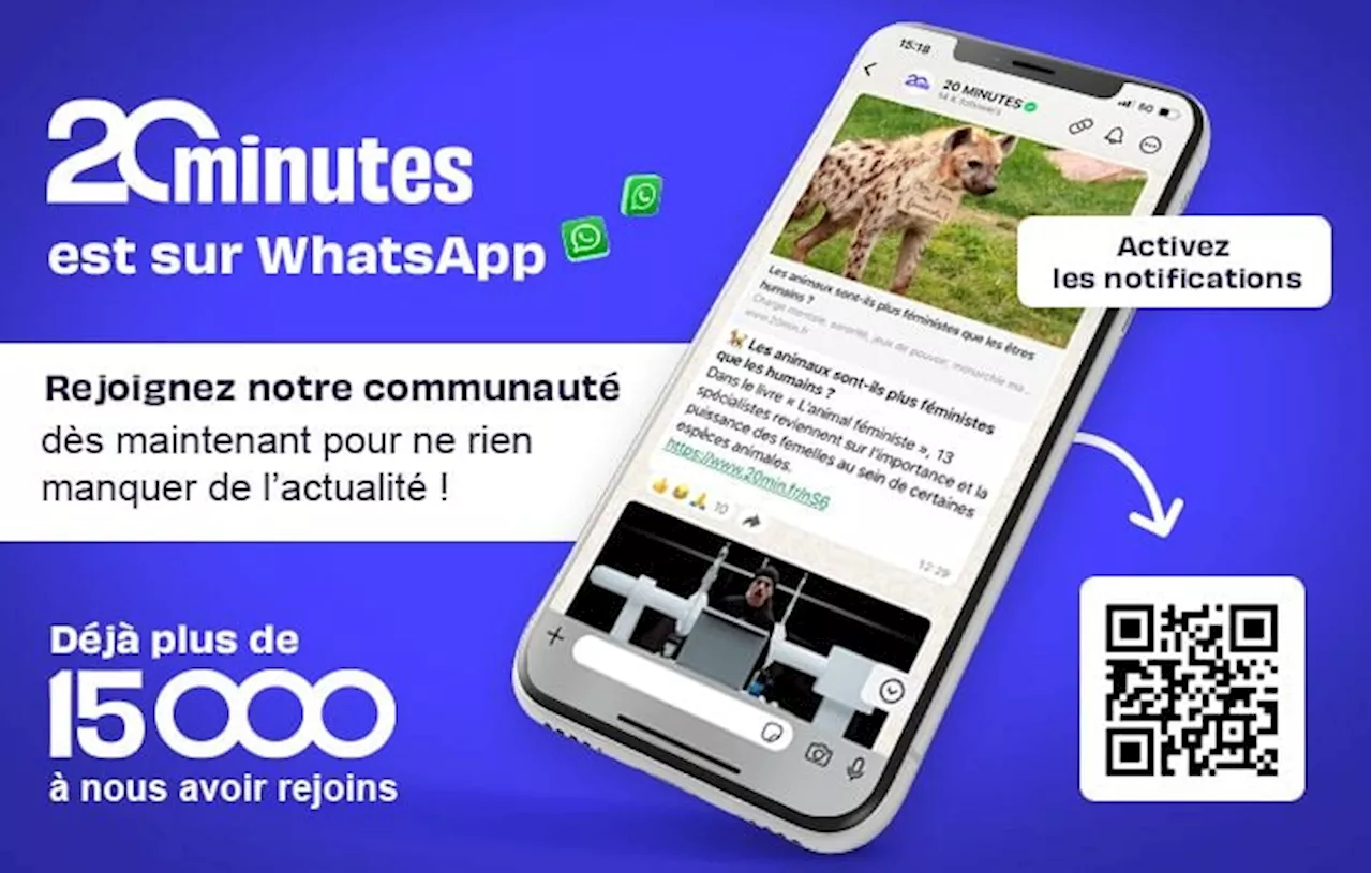 20 Minutes lance un canal WhatsApp pour une information directe et immédiate