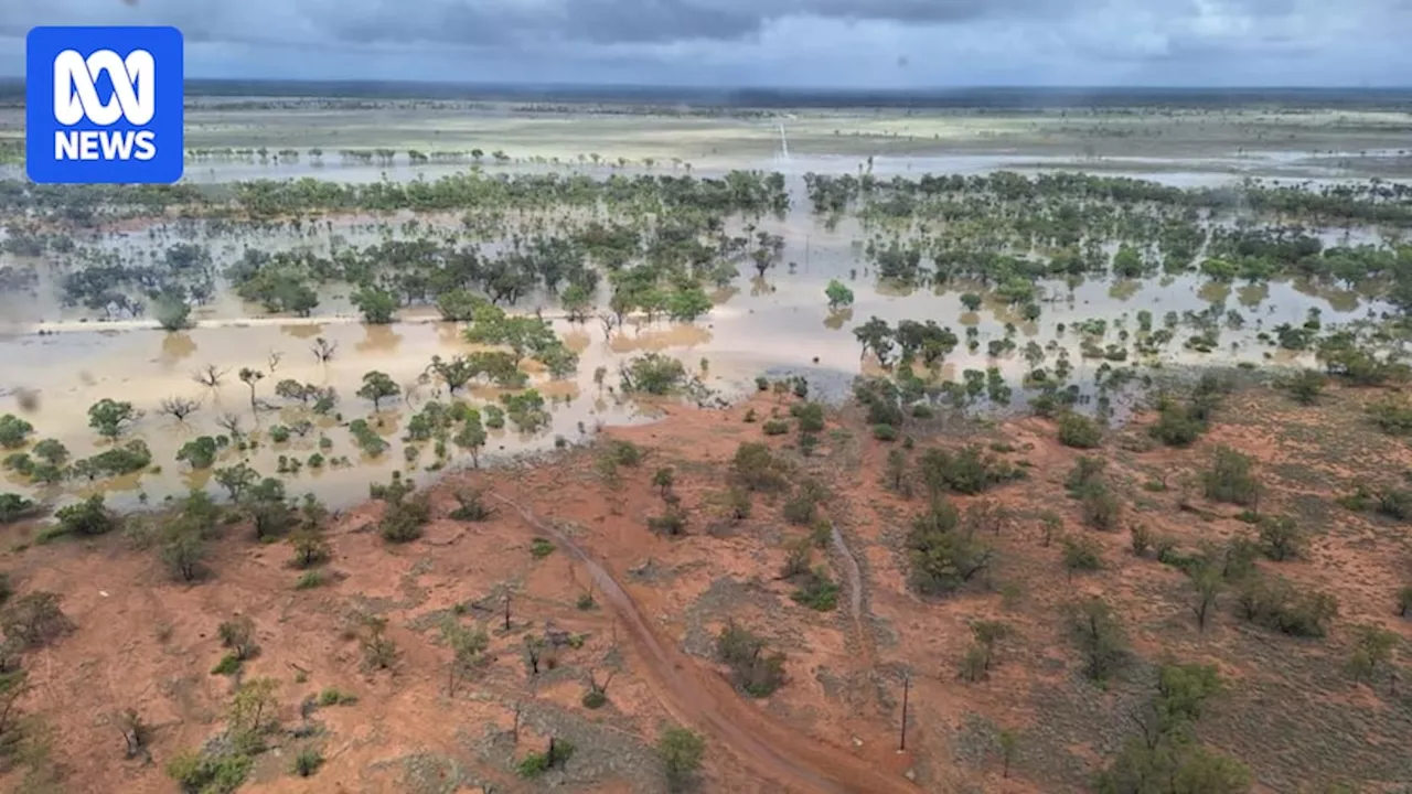 Late Rains Bring Hope to Drought-Stricken Queensland Farmers