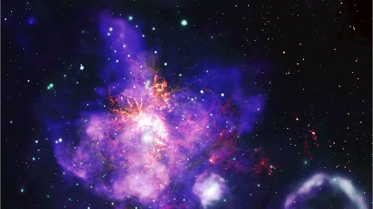 La NASA celebra San Valentino con un bouquet di stelle cosmiche