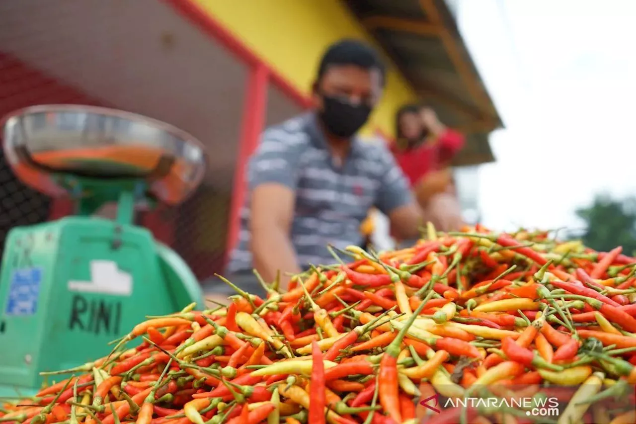 Cabai Rawit Merah Tembus Harga Rp70.900 per Kilogram