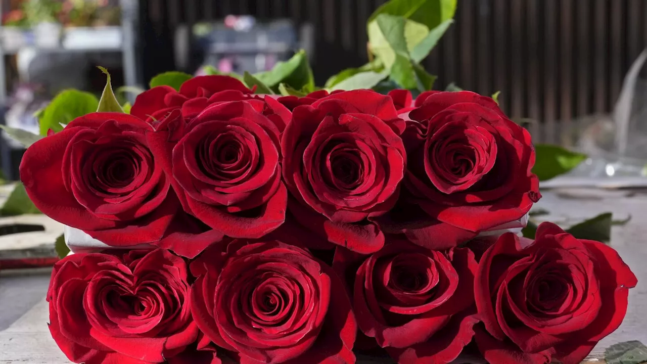 Valentine's Flowers May Contain Harmful Pesticides, Consumer Group Warns