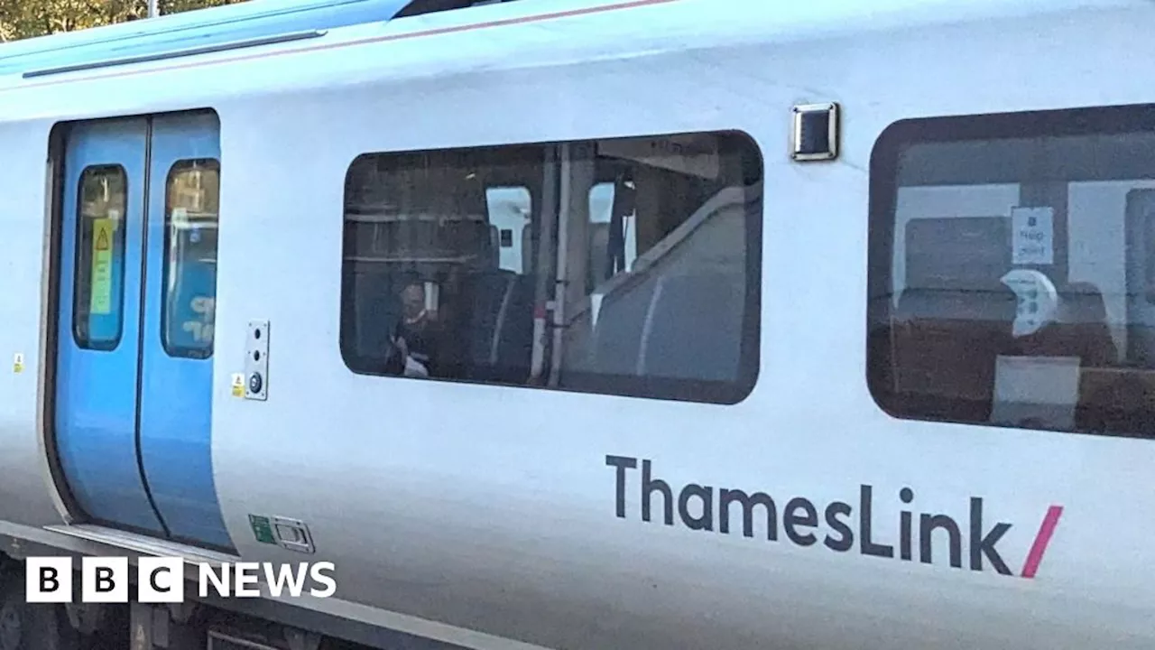 Major Rail Disruptions in Southeastern England After Fatality at Stevenage Station