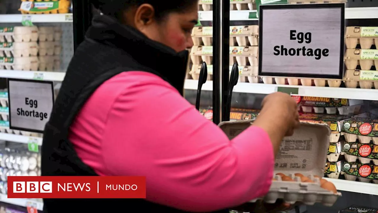 La Escasez de Huevos en Estados Unidos: Una Crisis que Repercute en el Aumento de la Inflacion