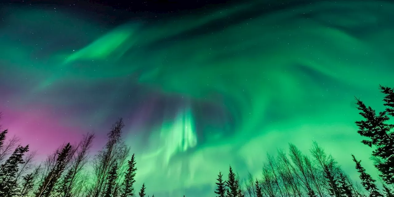 Valentine's Day Northern Lights Show Expected to Dazzle