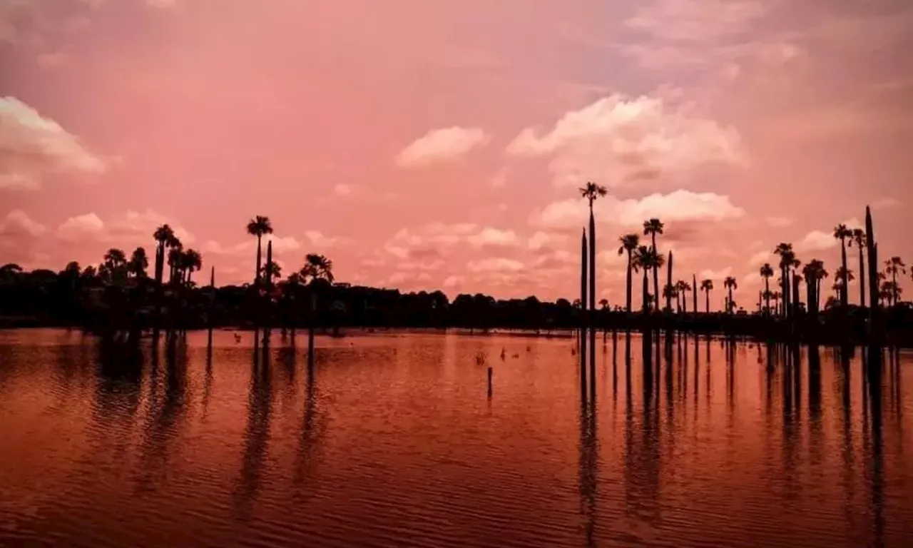 Laguna del Amor: Un Oasis de Naturaleza en el Corazón del Meta