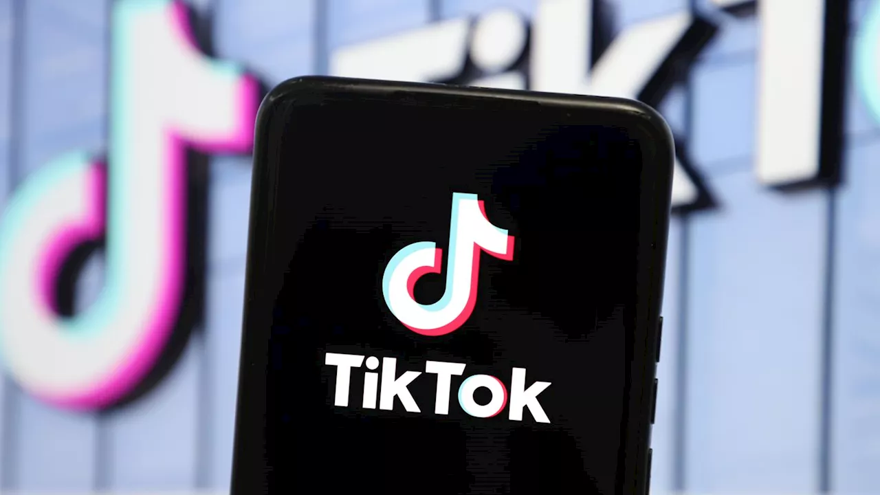 AfD-Nutzer auf TikTok: Musiker 'Nand' ist verärgert