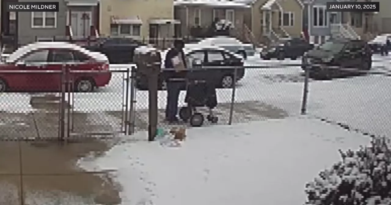 Woman Demands USPS Action After Postal Worker Repeatedly Tosses Packages Over Her Fence